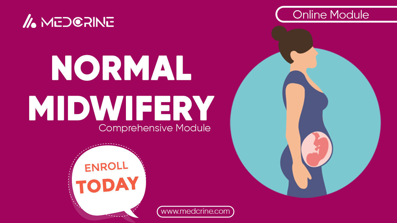 Normal Midwifery Module