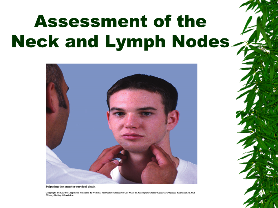 Assessment of the neck and lymph nodes