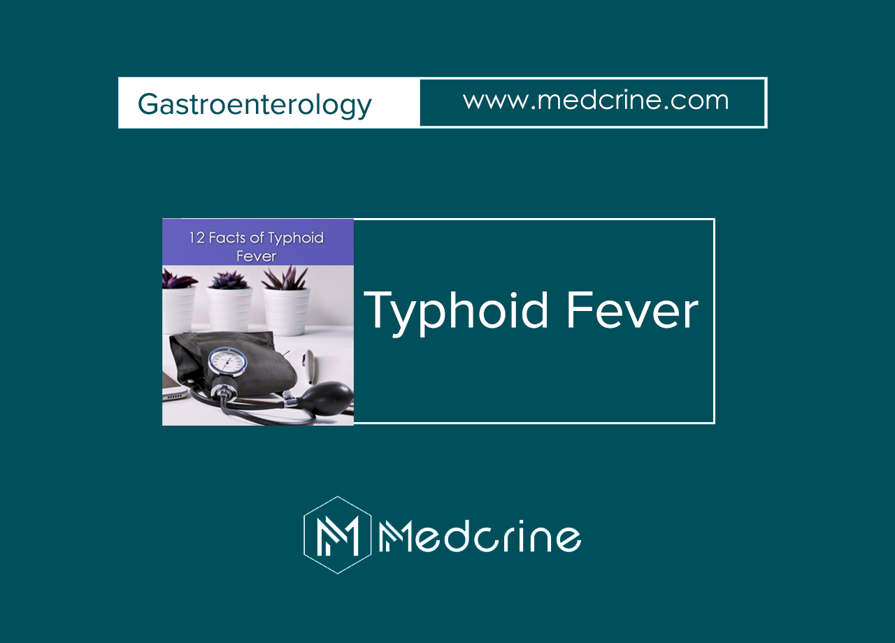 12 Facts about Typhoid Fever