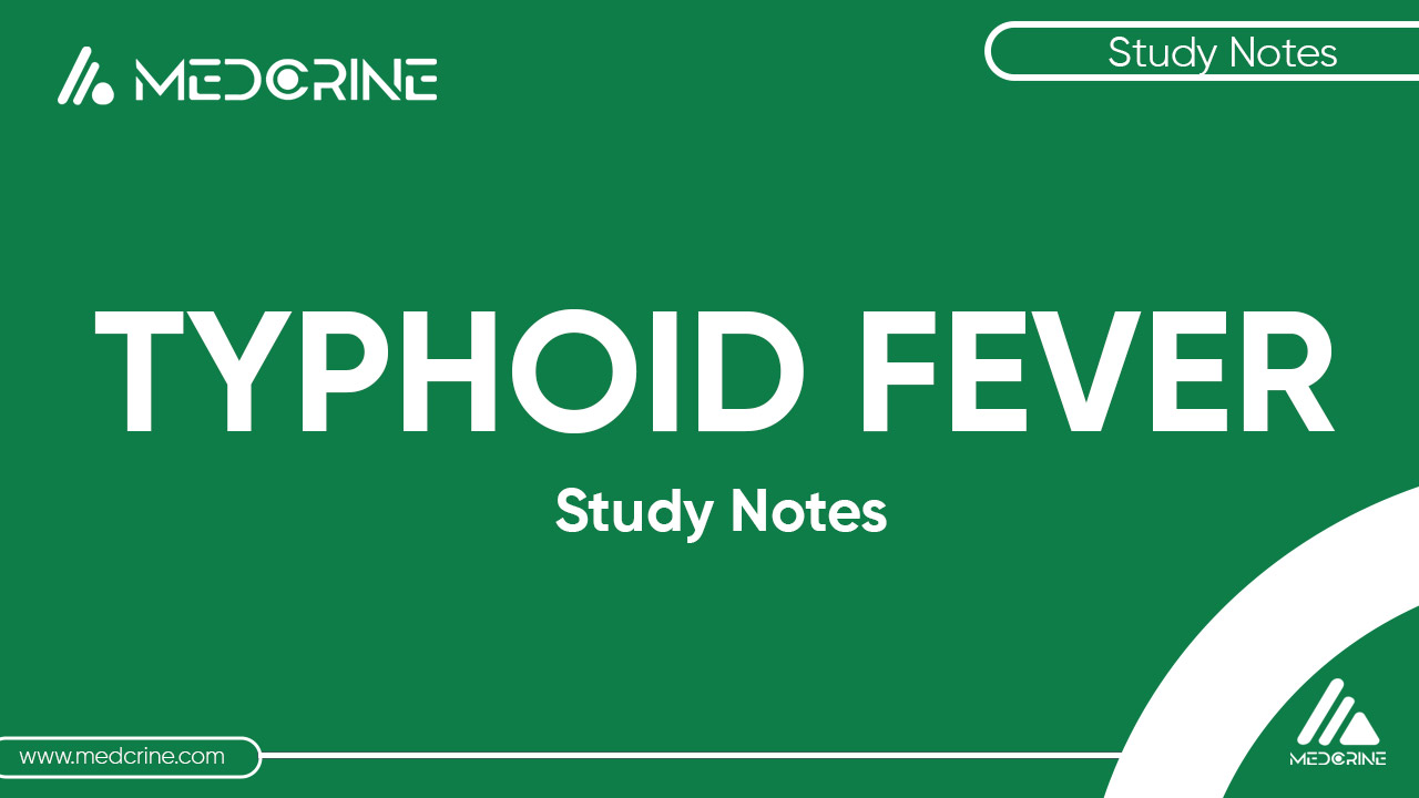 12 Facts about Typhoid Fever thumbnail