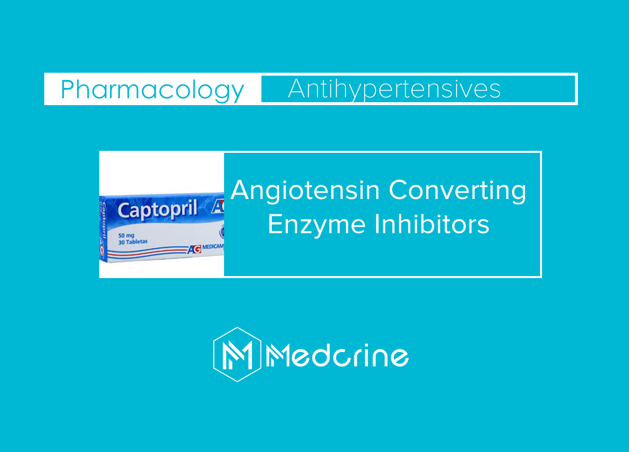 Angiotensin-Converting Enzyme inhibitors thumbnail