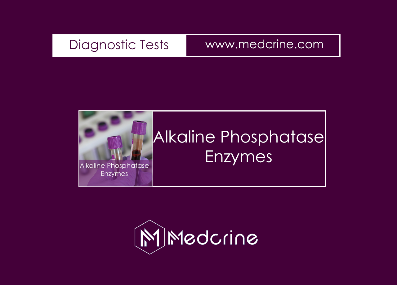 Alkaline Phosphatase Enzyme (ALP) Enzymes