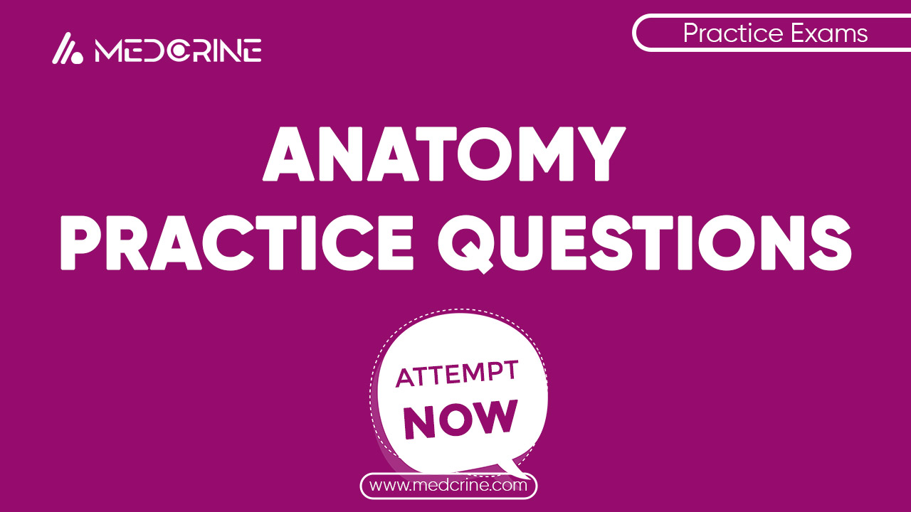 Regional Anatomy 2 Exam thumbnail