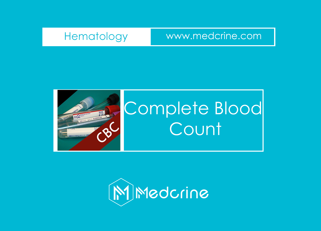 Complete Blood Count (CBC) Basics