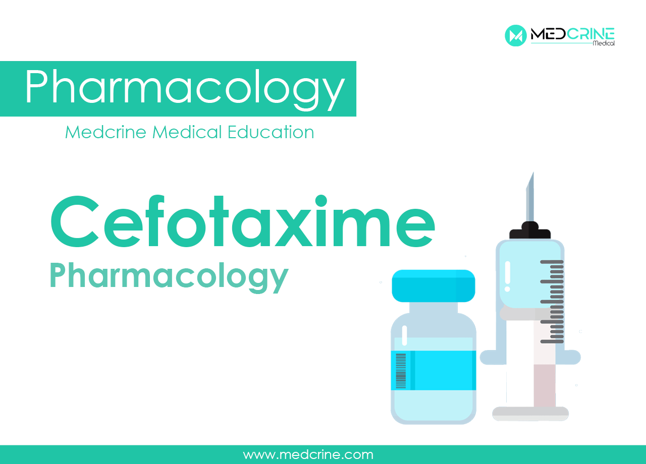 Cefotaxime pharmacology, Indications, Dosage, Adverse effects