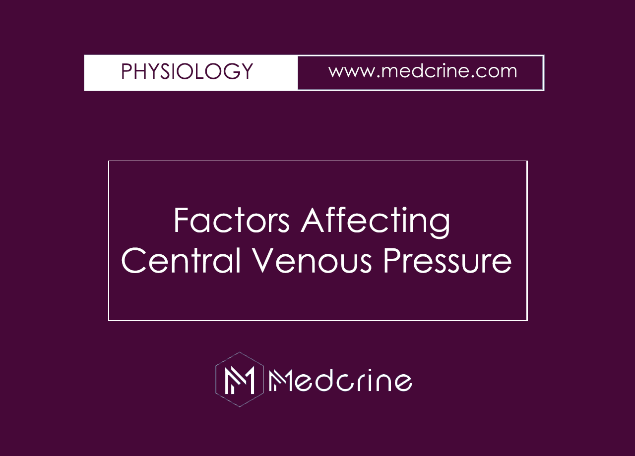 What are the factors affecting central venous pressure?
