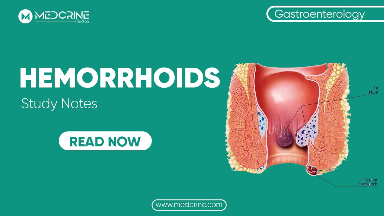Hemorrhoids: Causes, Symptoms, Diagnosis and Treatment