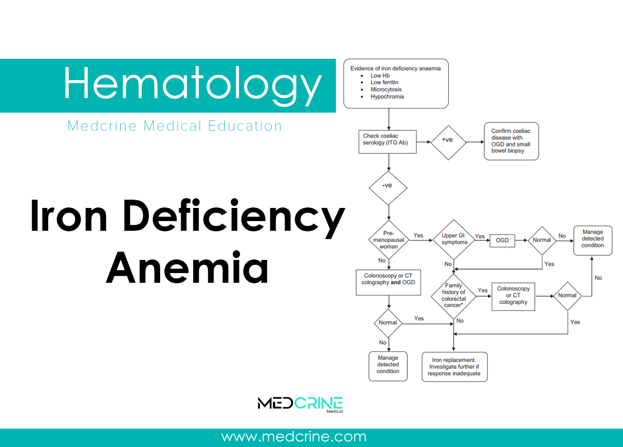 Iron Deficiency Anemia: Causes, Pathophysiology and clinical features