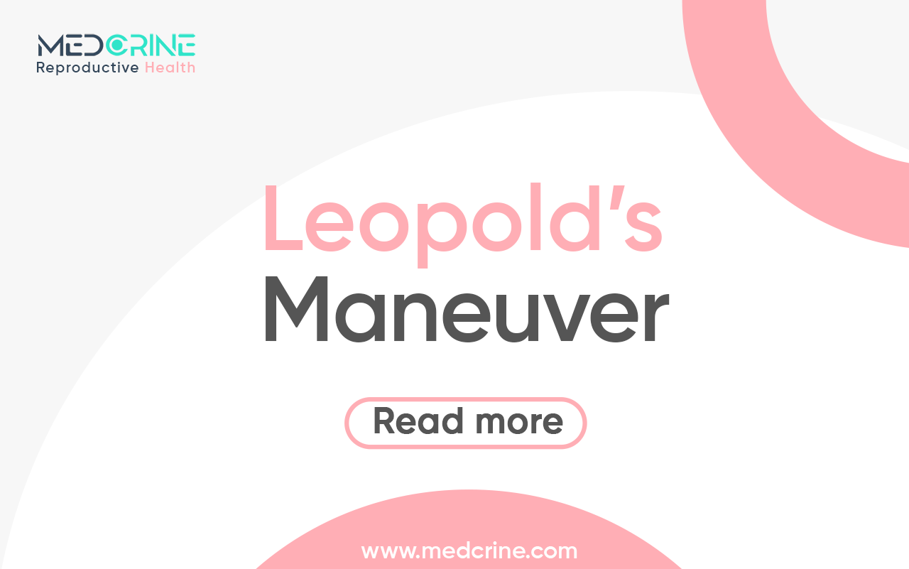 Leopold's Maneuver