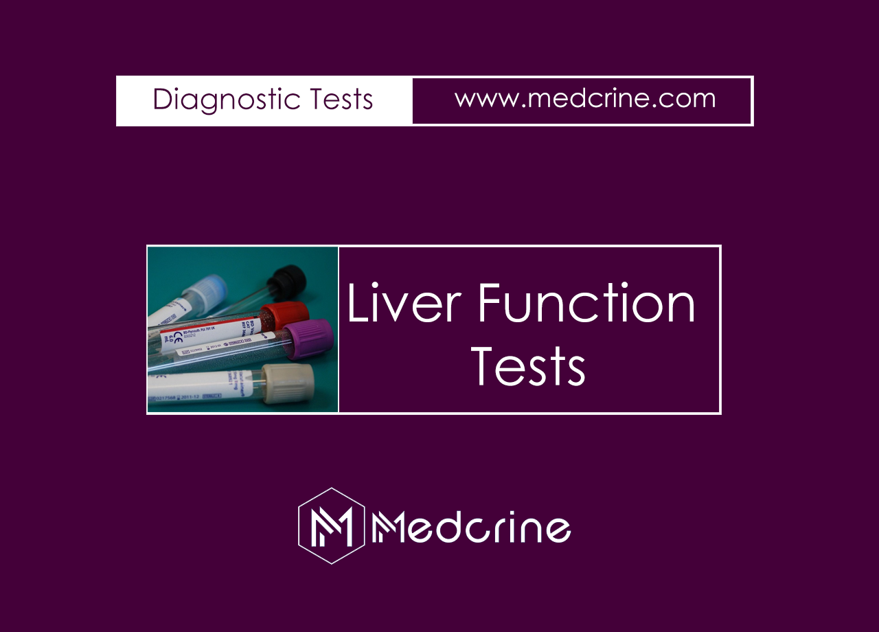 Liver Function Tests And Interpretation