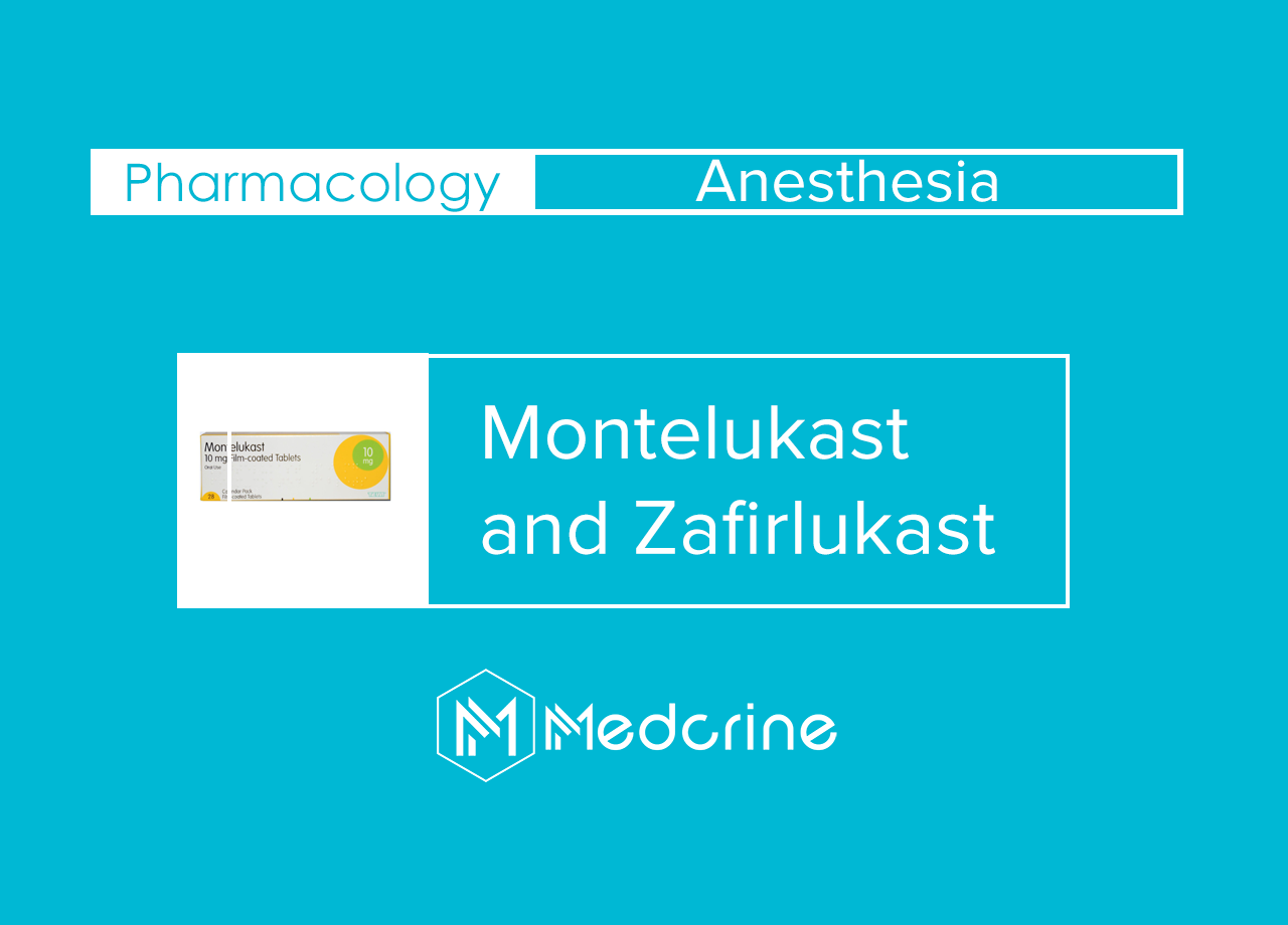 Montelukast and Zafirlukast: Leukotriene Receptors Antagonists thumbnail