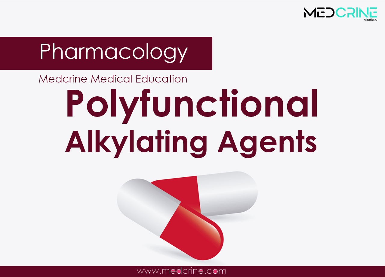 Polyfunctional alkylating agents pharmacology