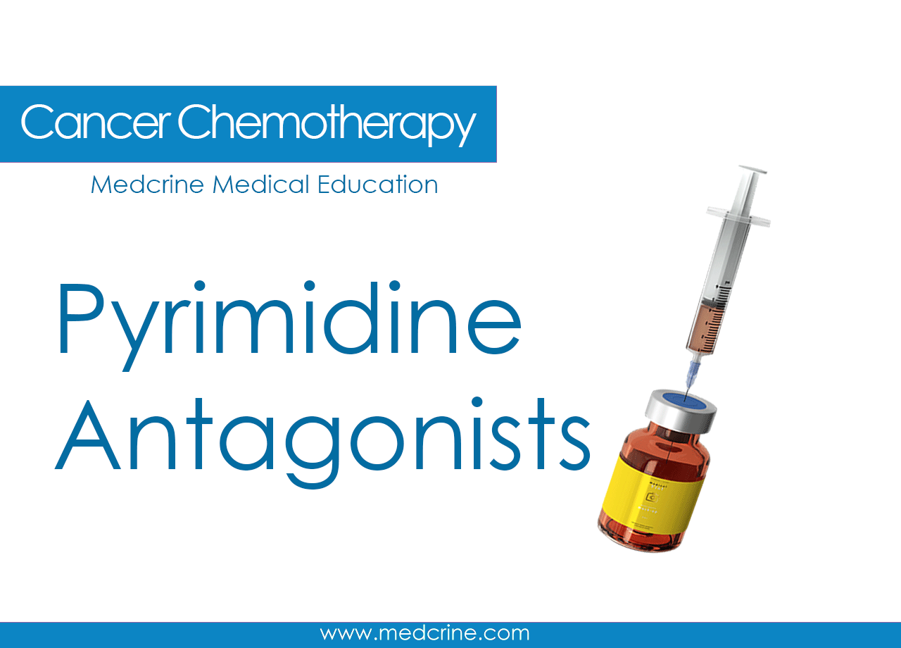 Pyrimidine Antagonists Pharmacology