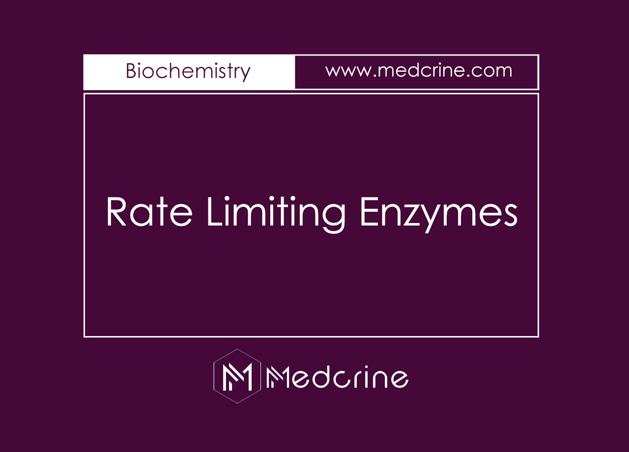 Rate Limiting Enzymes In Biochemistry