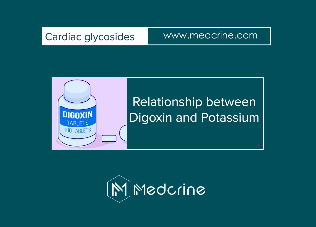 What is the relationship between Digoxin and potassium?