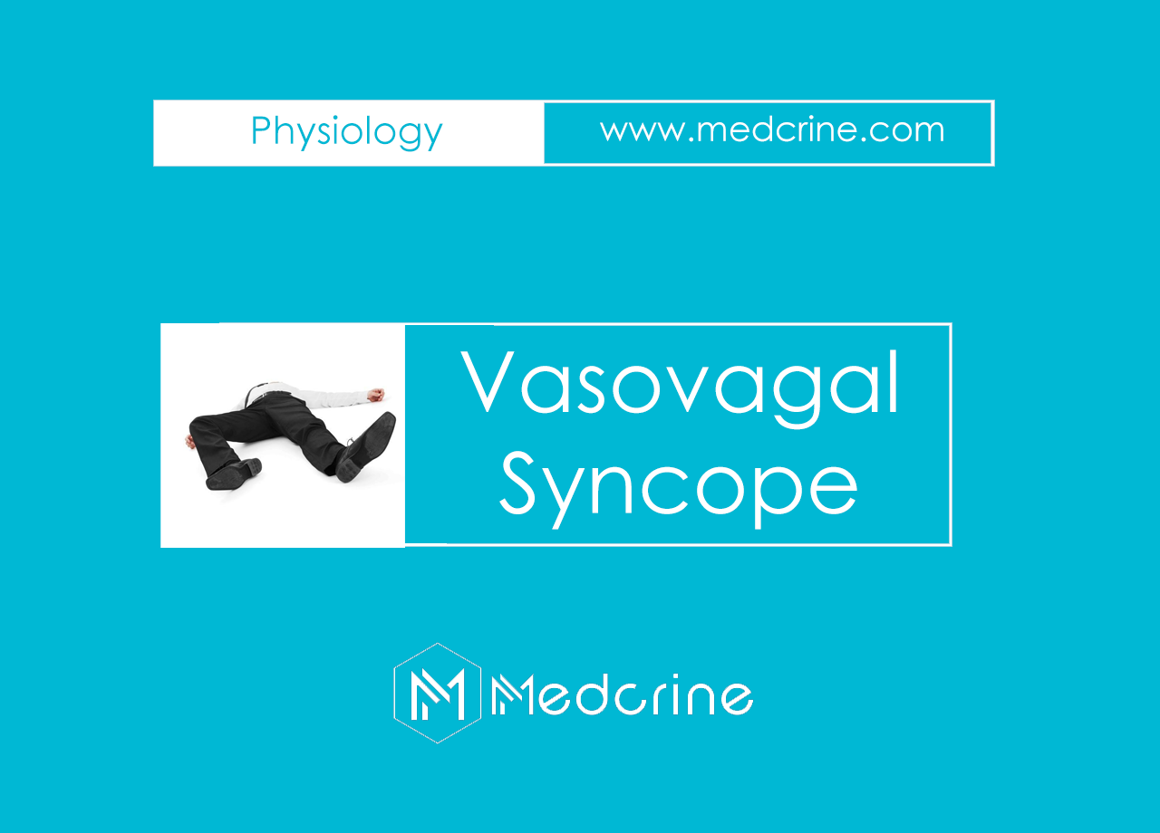 What is the mechanism of vasovagal syncope?