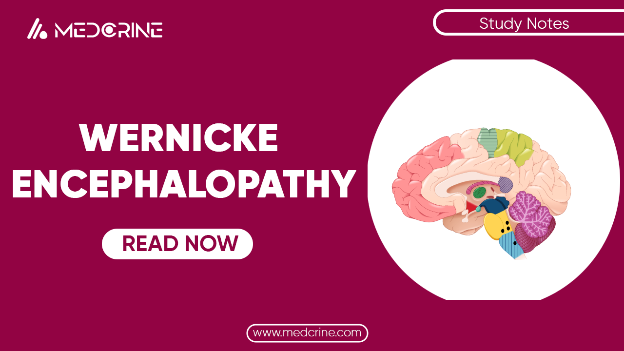 Wernicke's Encephalopathy (WE)